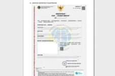 Sertifikat tanah digital untuk memberantas mafia tanah