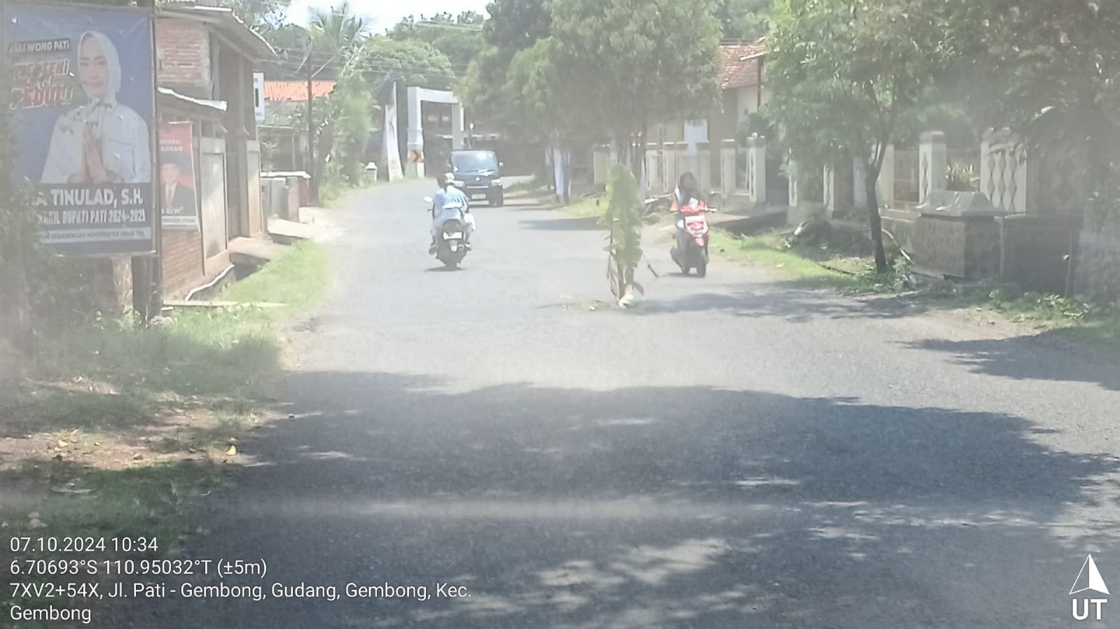 Pohon pisang ditanam warga di tengah jalan rusak sebagai tanda protes