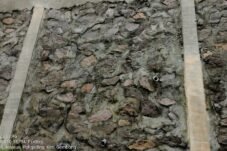 Dinas Pekerjaan Umum dan Penataan Ruang (DPUPR) Kabupaten Pati akan meminta rekanan atau penyedia untuk melakukan perbaikan talud.