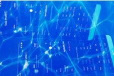 Penting untuk memiliki ekspektasi yang realistis dan memahami bahwa investasi saham memerlukan kesabaran dan disiplin untuk mencapai hasil yang diinginkan.