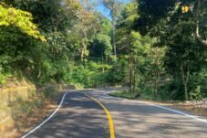 Pekerjaan padat karya bidang jalan meliputi pemeliharaan rutin seperti pembersihan median jalan, pengecatan marka, dan perbaikan ringan dengan progres fisik 63,78% dan menyerap 33.052 tenaga kerja.