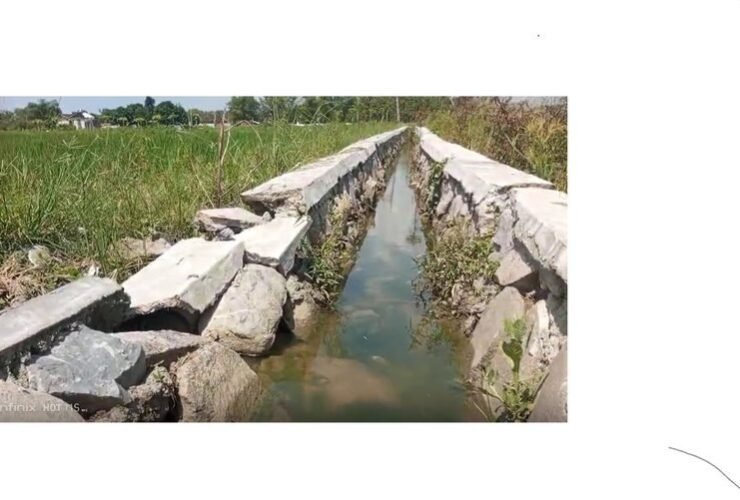 P3-TGAI Desa Bringin Juwana ambrol di Kabupaten Pati