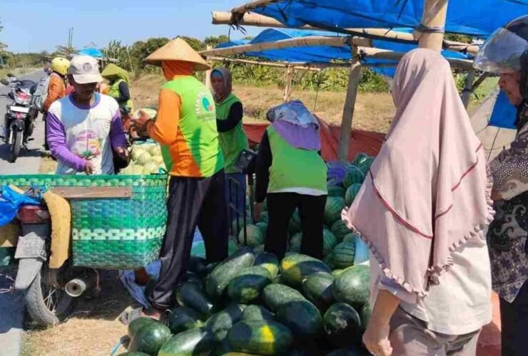 Semangka Demak dijual di lapak Jalan Cabean-Banggo dengan harga mulai Rp4 ribu per kilogram
